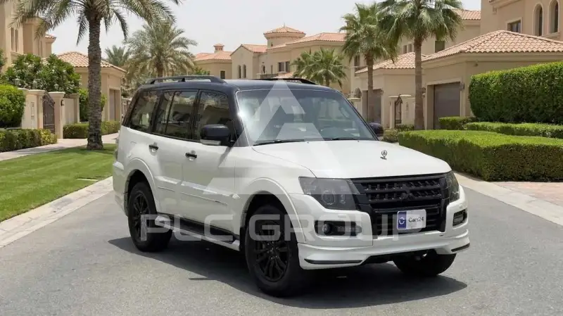 2020 Mitsubishi PAJARO