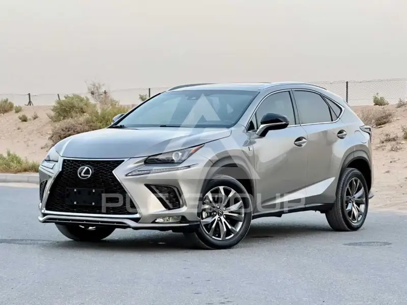 2020 Lexus NX300