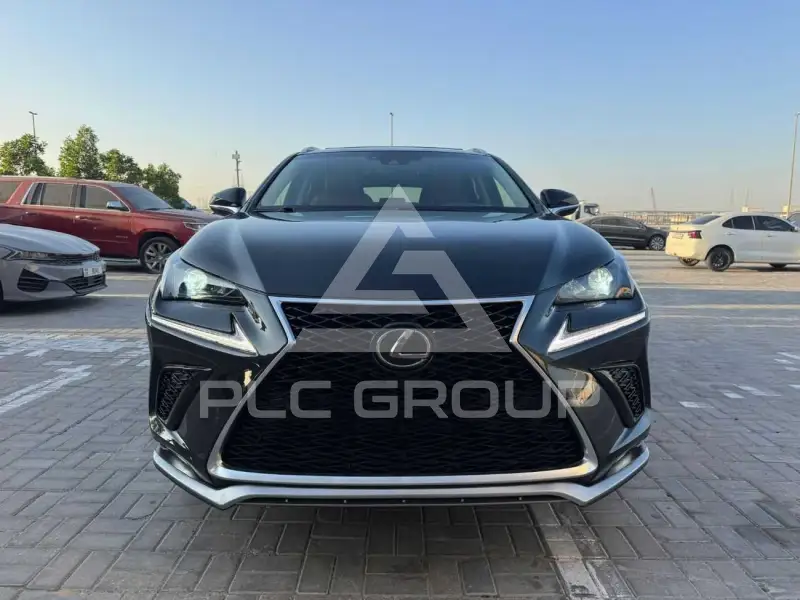2020 Lexus NX300