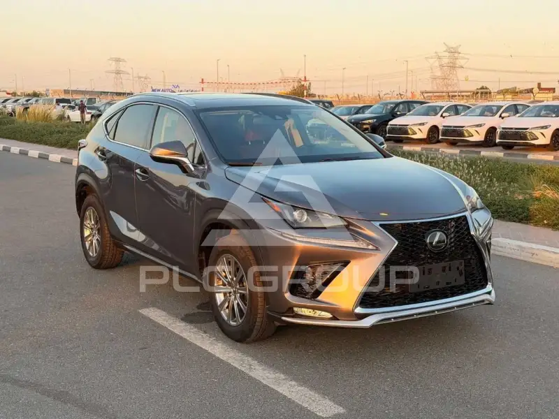 2020 Lexus NX300