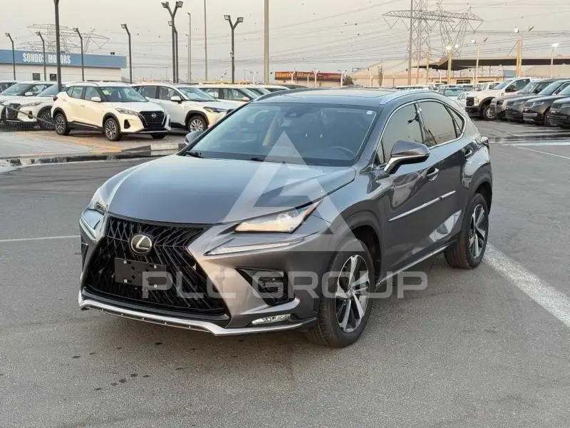 2020 Lexus NX300