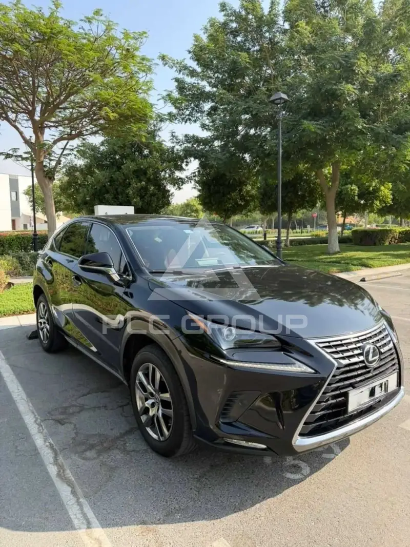 2020 Lexus NX300