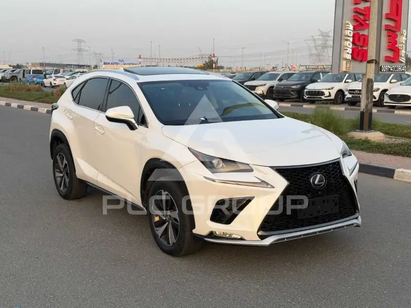 2020 Lexus NX300