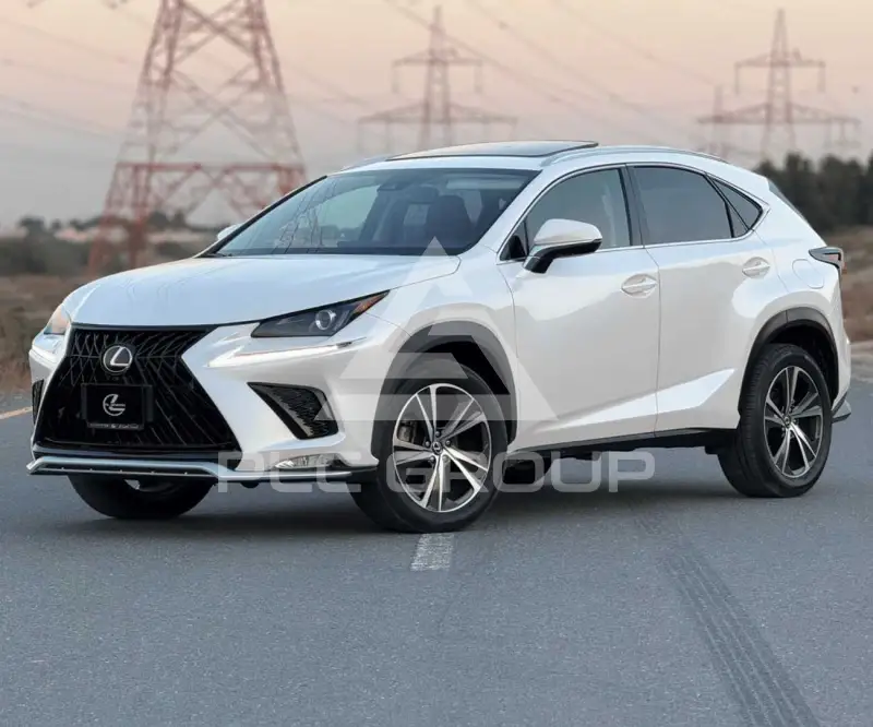 2020 Lexus NX300