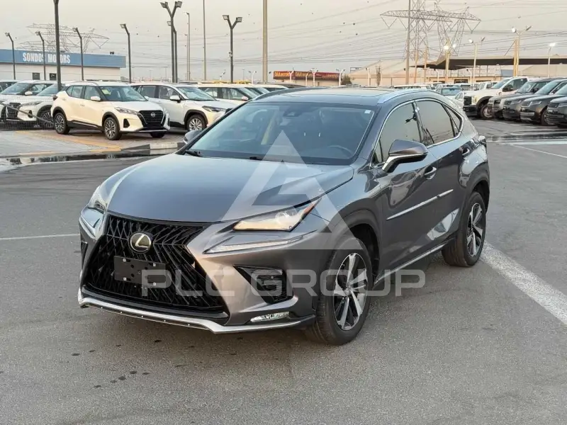 2020 Lexus NX300