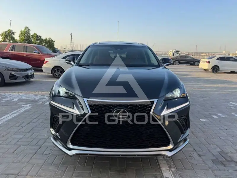 2020 Lexus NX300