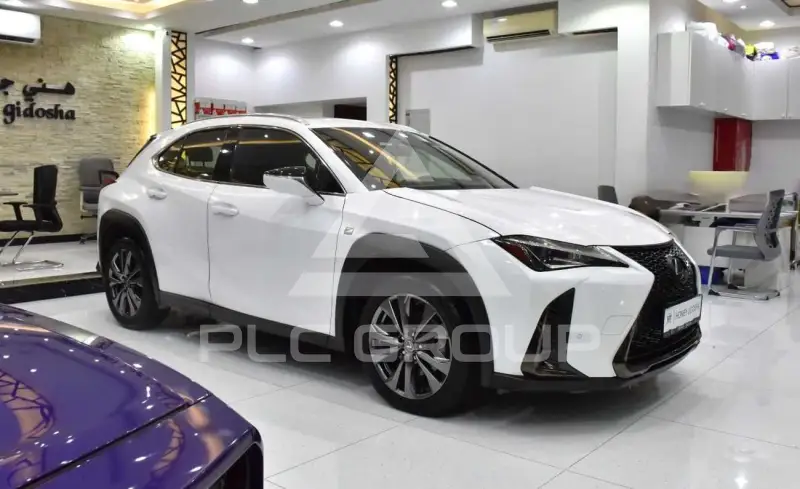 2020 Lexus UX