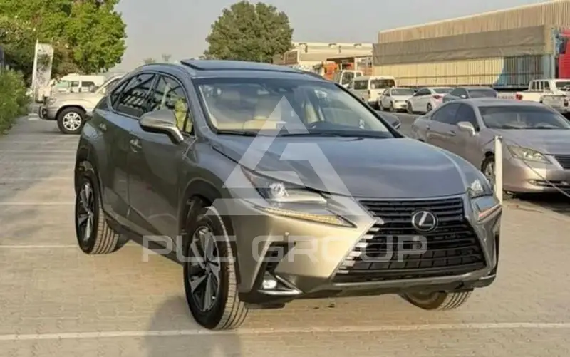 2021 Lexus NX300