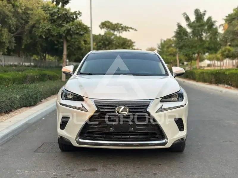 2021 Lexus NX300