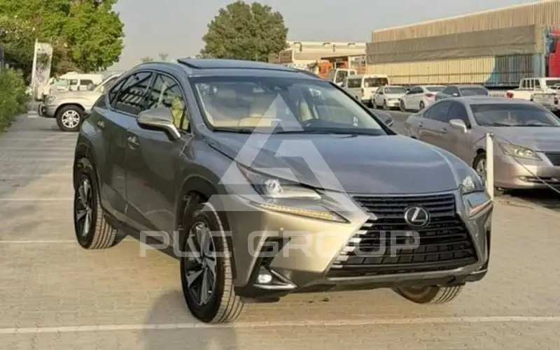 2021 Lexus NX300