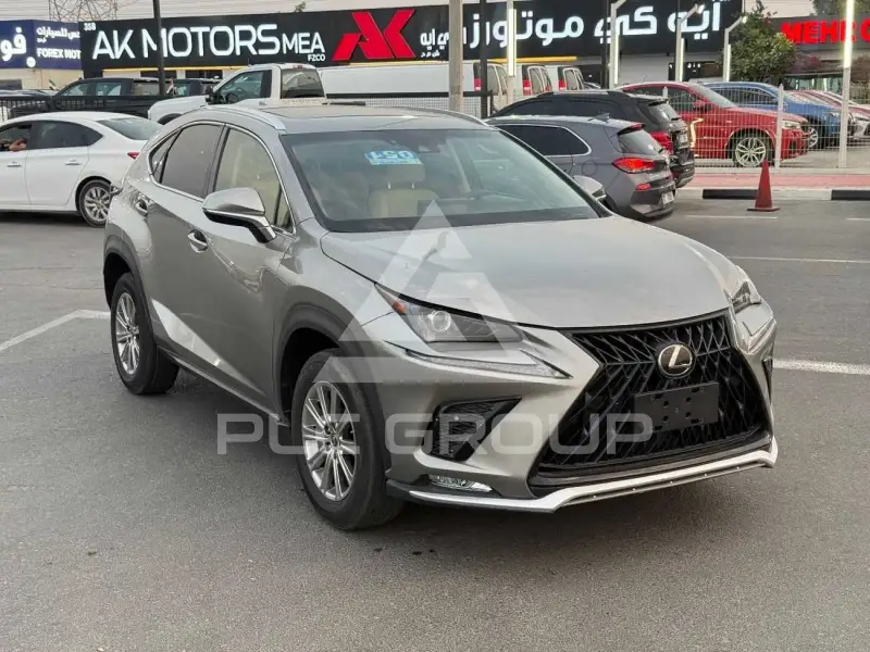 2021 Lexus NX300
