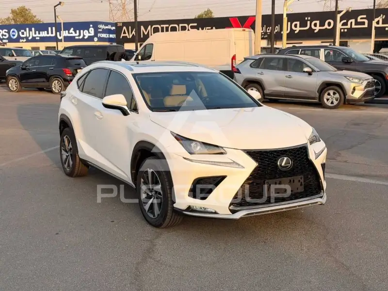 2021 Lexus NX300