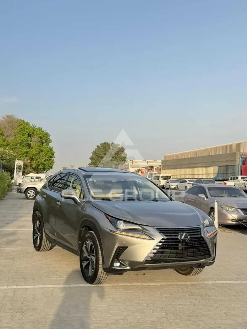 2021 Lexus NX300