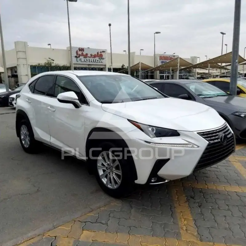 2021 Lexus NX300