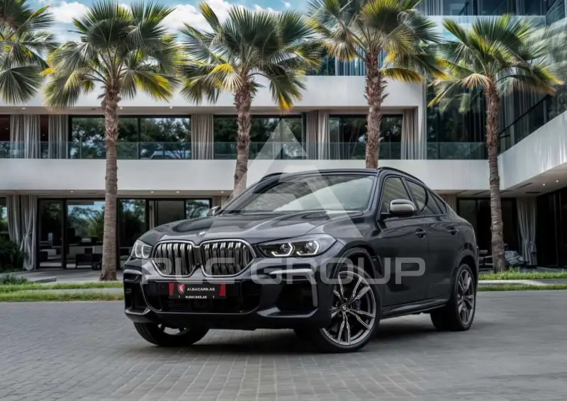 2022 BMW X6