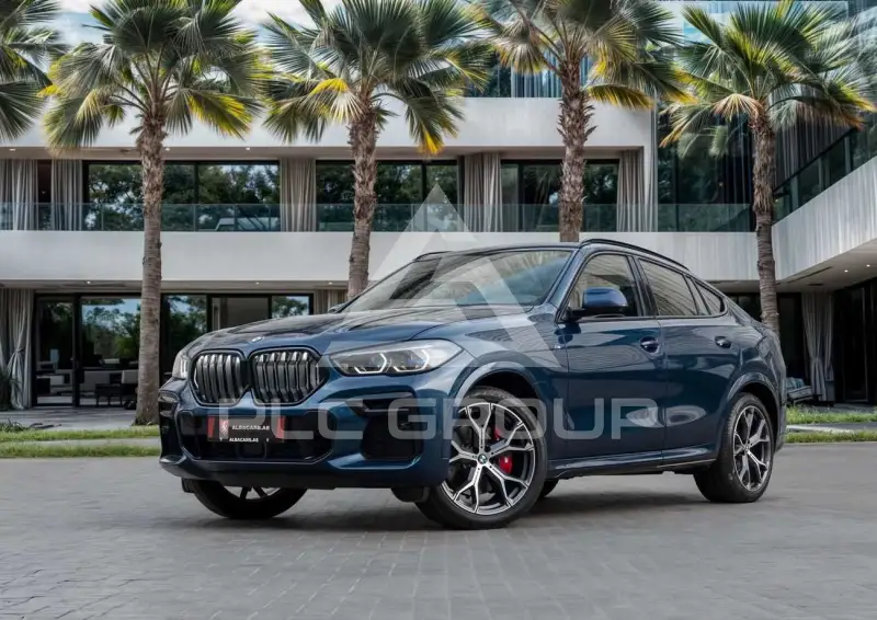 2022 BMW X6