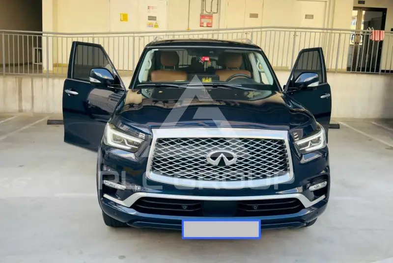 2022 Infinity QX80