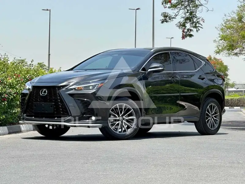 2022 Lexus NX250