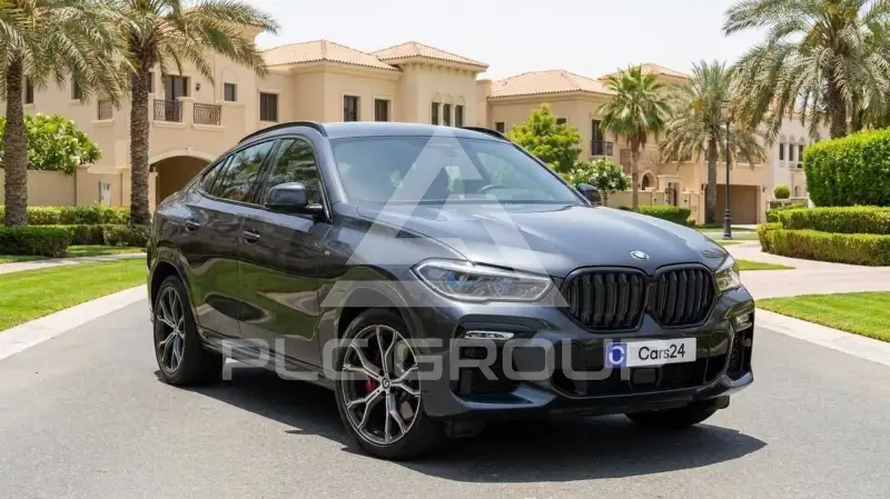 2023 BMW X6