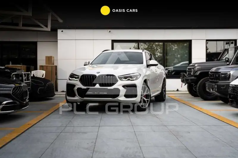 2023 BMW X6