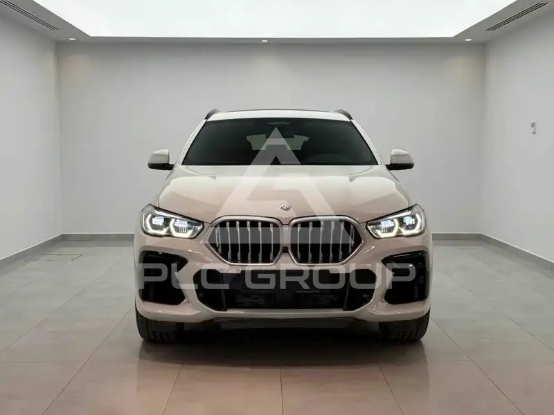 2023 BMW X6