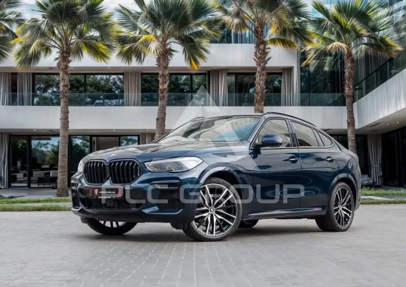 2023 BMW X6