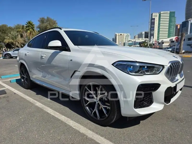 2023 BMW X6