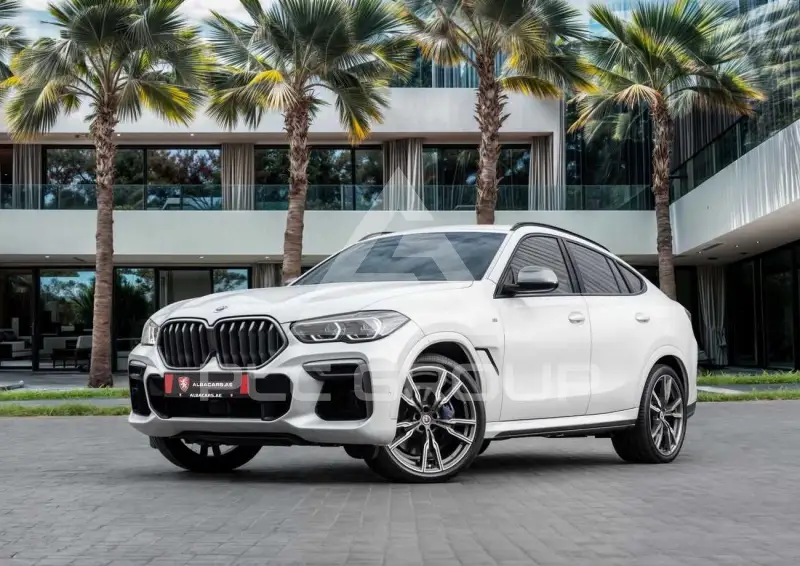 2023 BMW X6