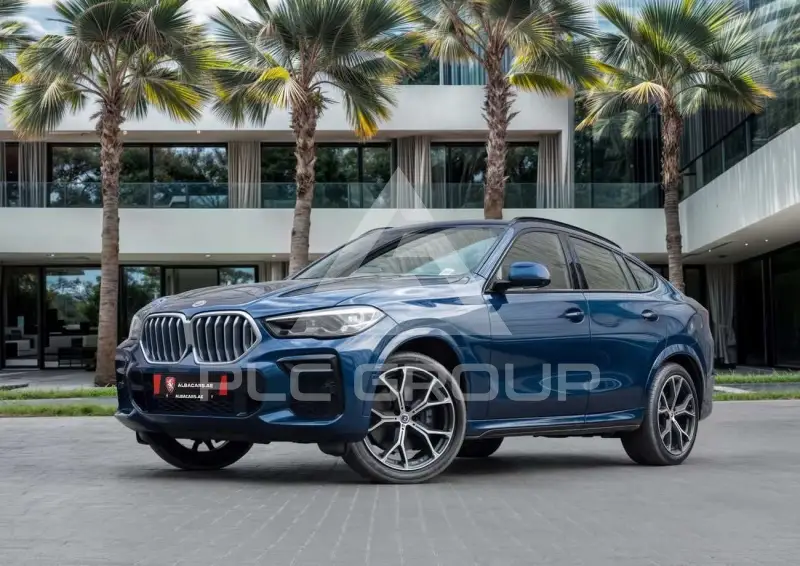2023 BMW X6