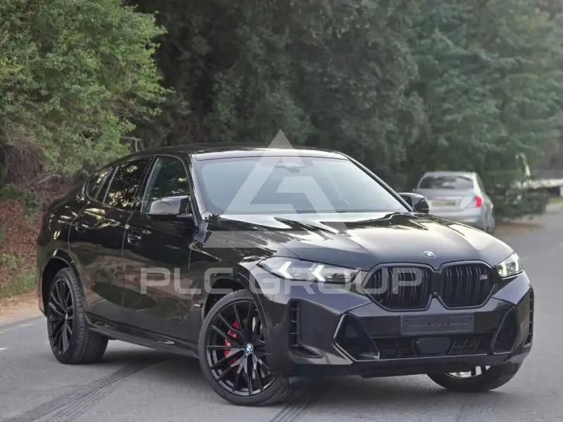 2023 BMW X6