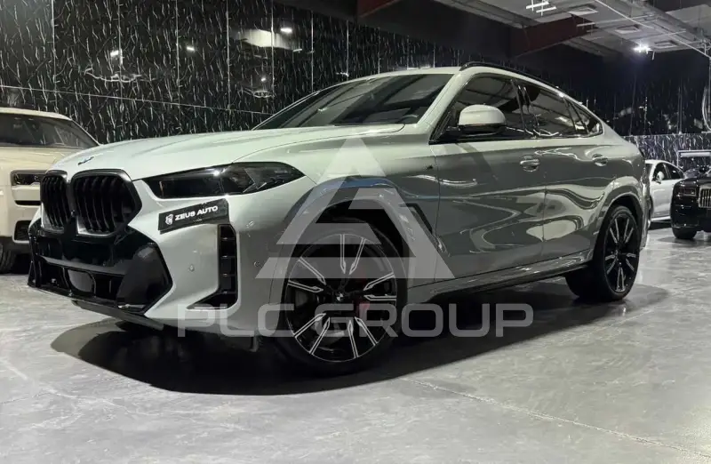 2024 BMW X6