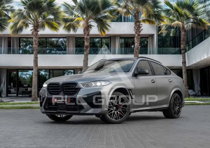 2024 BMW X6