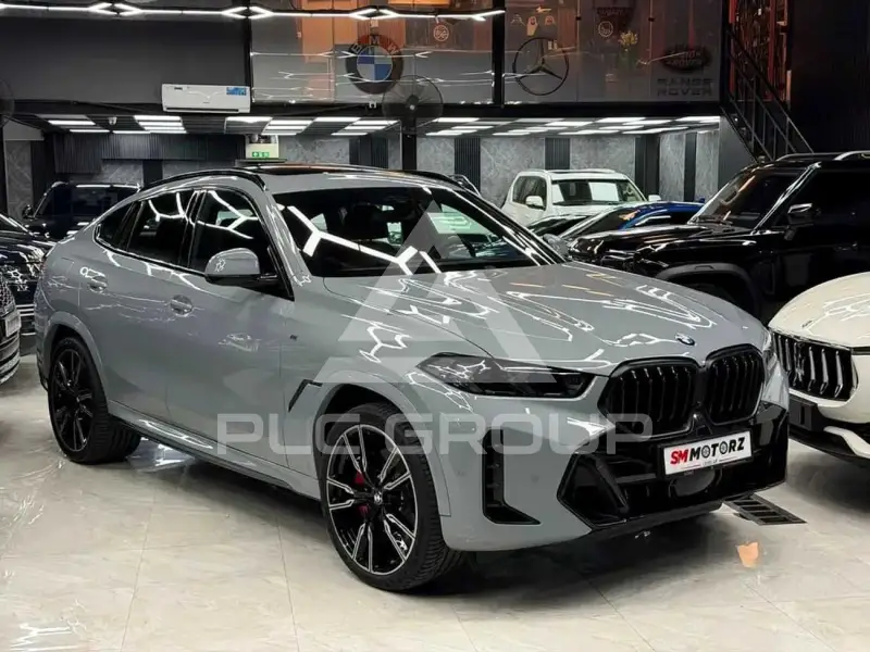 2024 BMW X6