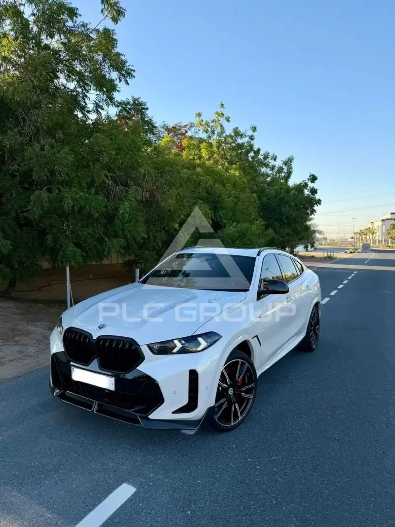 2024 BMW X6