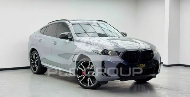 2024 BMW X6