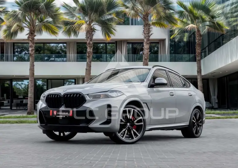 2024 BMW X6