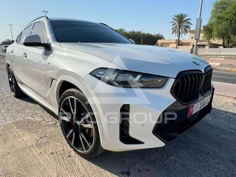2024 BMW X6