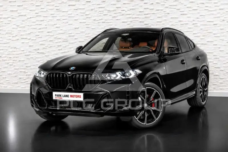 2024 BMW X6