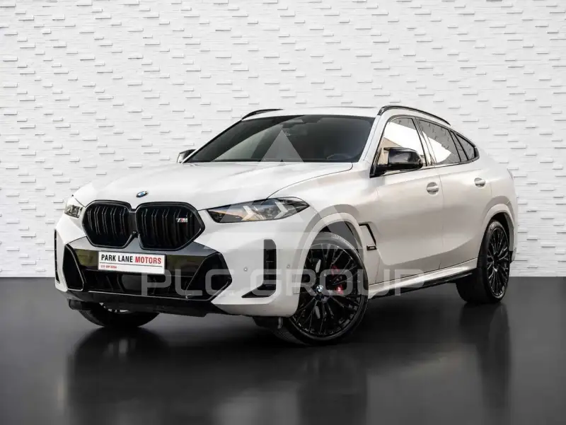 2024 BMW X6