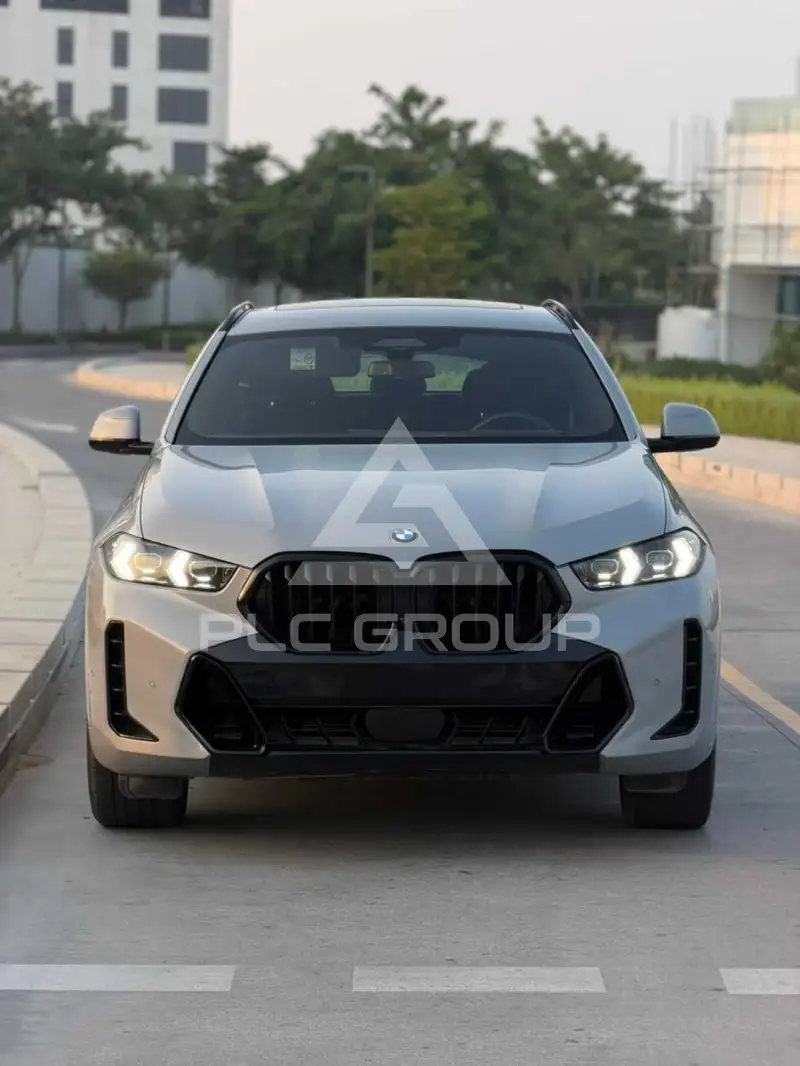 2024 BMW X6