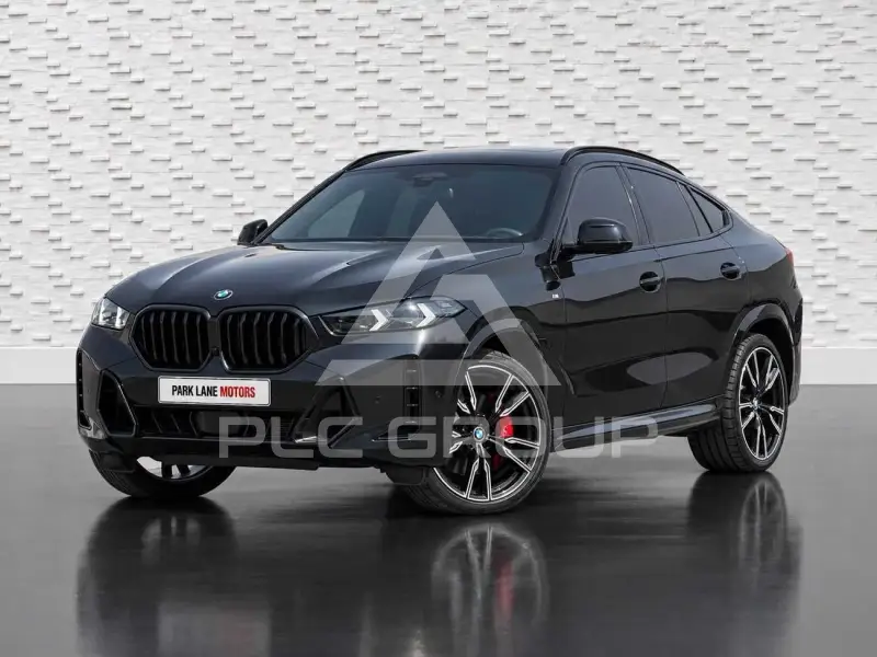 2024 BMW X6