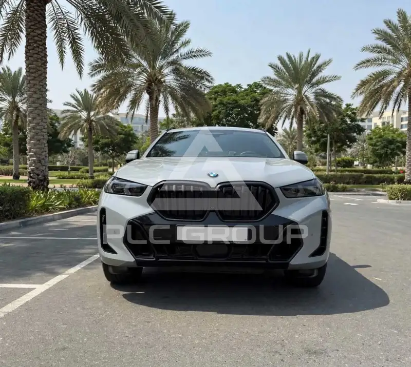 2024 BMW X6