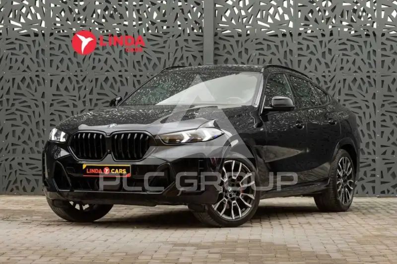 2024 BMW X6