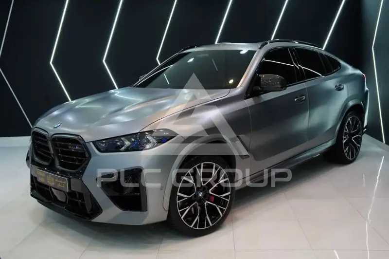 2024 BMW X6