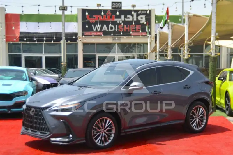2024 Lexus NX250