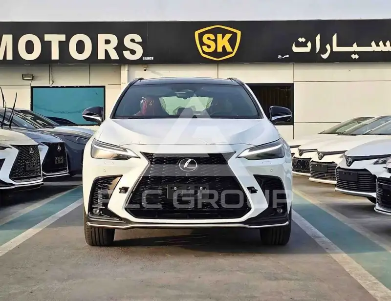 2024 Lexus NX250