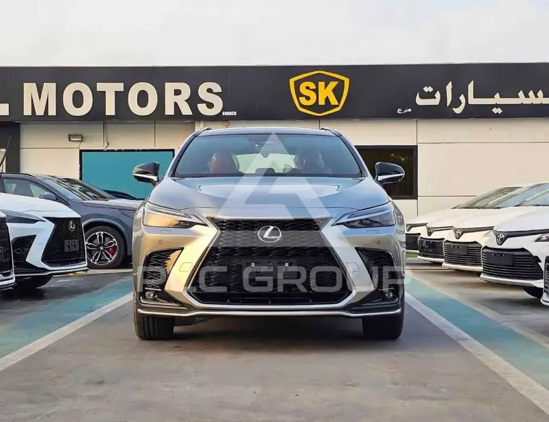 2024 Lexus NX250