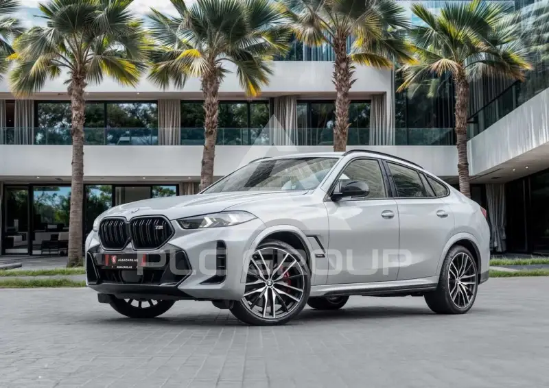 2025 BMW X6