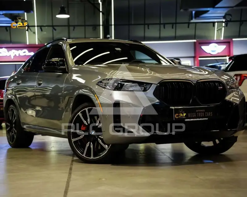 2025 BMW X6