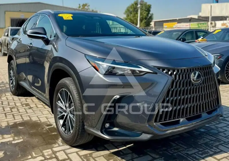 2025 Lexus NX